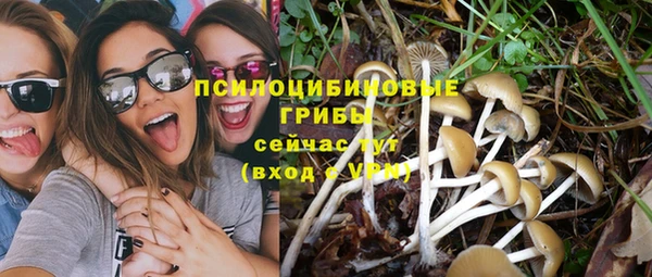 соль курить ск Верхний Тагил