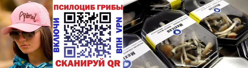Псилоцибиновые грибы Psilocybe  MEGA вход  Дигора  что такое наркотик 